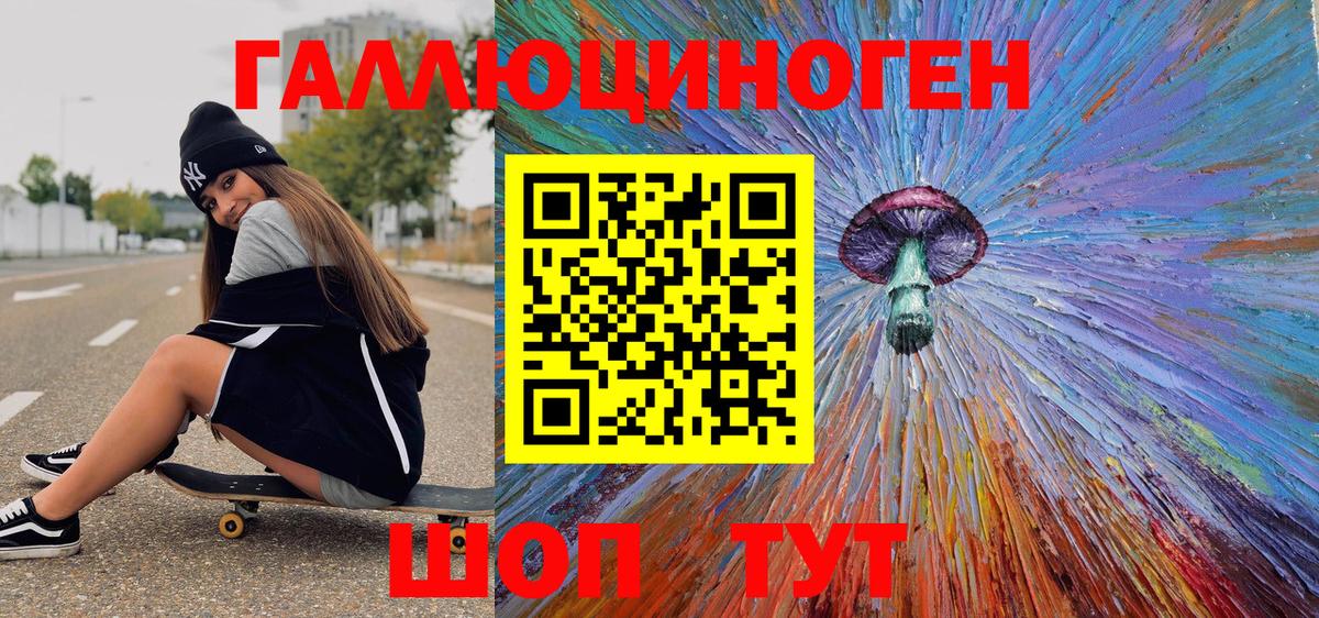 Псилоцибиновые грибы Psilocybe Барнаул