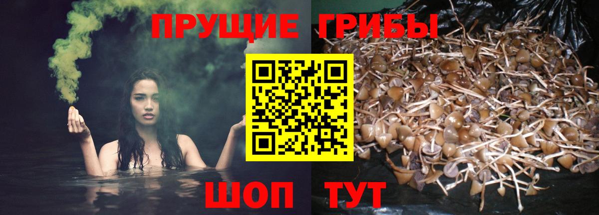 Галлюциногенные грибы Psilocybine cubensis  Вход с VPN  сколько стоит  Барнаул 